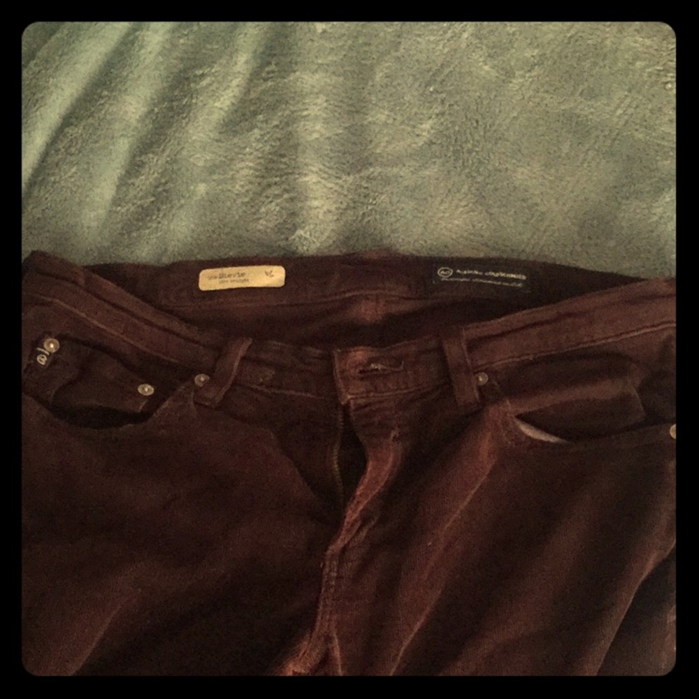 Purple corduroy pants by Adriano goldschmied